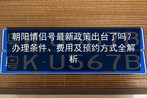 朝阳情侣号最新政策出台了吗?办理条件、费用及预约方式全解析 第3张 朝阳情侣号最新政策出台了吗?办理条件、费用及预约方式全解析 第3张