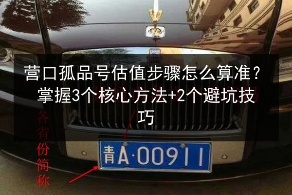 营口孤品号估值步骤怎么算准？掌握3个核心方法+2个避坑技巧