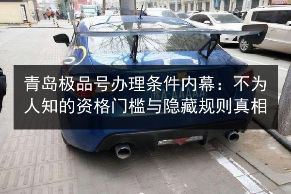 青岛极品号办理条件内幕：不为人知的资格门槛与隐藏规则真相