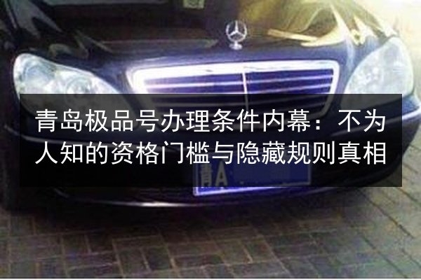 青岛极品号办理条件内幕:不为人知的资格门槛与隐藏规则真相 第2张 青岛极品号办理条件内幕:不为人知的资格门槛与隐藏规则真相 第2张