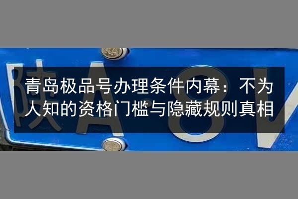 青岛极品号办理条件内幕:不为人知的资格门槛与隐藏规则真相 第3张 青岛极品号办理条件内幕:不为人知的资格门槛与隐藏规则真相 第3张