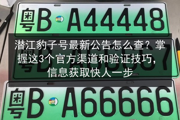 潜江豹子号最新公告怎么查?掌握这3个官方渠道和验证技巧,信息获取快人一步 第2张 潜江豹子号最新公告怎么查?掌握这3个官方渠道和验证技巧,信息获取快人一步 第2张