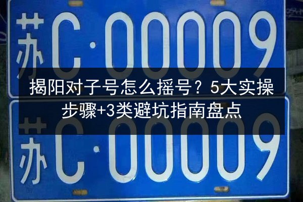 揭阳对子号怎么摇号？5大实操步骤+3类避坑指南盘点