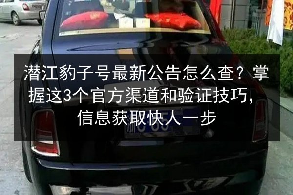 潜江豹子号最新公告怎么查?掌握这3个官方渠道和验证技巧,信息获取快人一步 第3张 潜江豹子号最新公告怎么查?掌握这3个官方渠道和验证技巧,信息获取快人一步 第3张