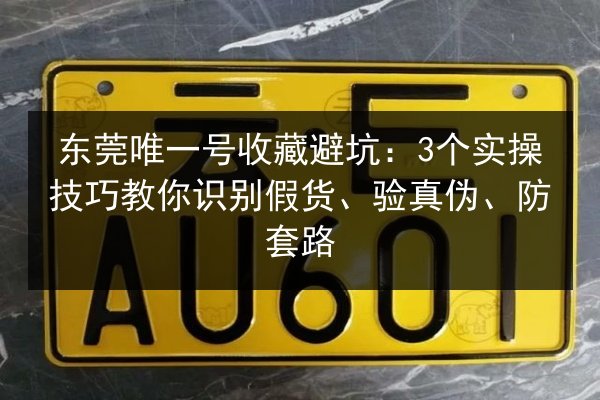 东莞唯一号收藏避坑:3个实操技巧教你识别假货、验真伪、防套路 第2张 东莞唯一号收藏避坑:3个实操技巧教你识别假货、验真伪、防套路 第2张
