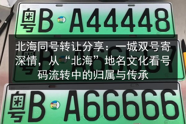 北海同号转让分享：一城双号寄深情，从“北海”地名文化看号码流转中的归属与传承