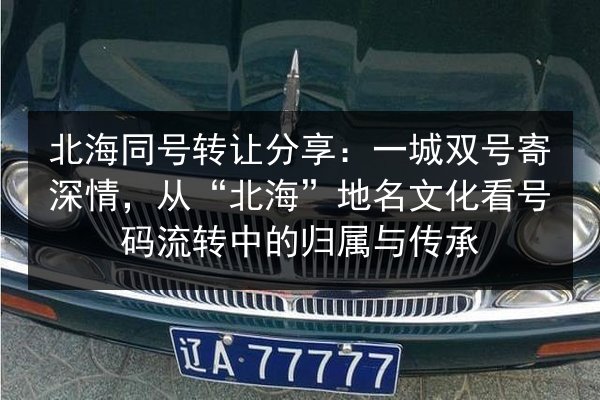 北海同号转让分享:一城双号寄深情,从“北海”地名文化看号码流转中的归属与传承 第3张 北海同号转让分享:一城双号寄深情,从“北海”地名文化看号码流转中的归属与传承 第3张
