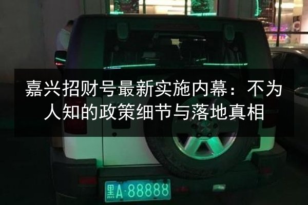 嘉兴招财号最新实施内幕:不为人知的政策细节与落地真相 第2张 嘉兴招财号最新实施内幕:不为人知的政策细节与落地真相 第2张