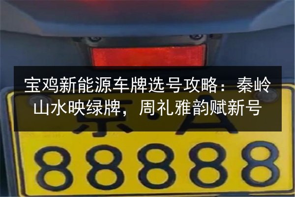 宝鸡新能源车牌选号攻略：秦岭山水映绿牌，周礼雅韵赋新号 第3张