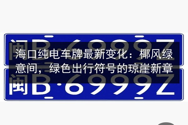 海口纯电车牌最新变化：椰风绿意间，绿色出行符号的琼崖新章
