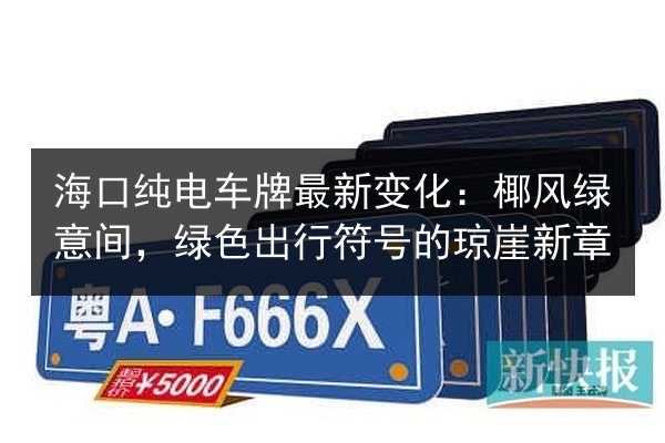 海口纯电车牌最新变化:椰风绿意间,绿色出行符号的琼崖新章 第2张 海口纯电车牌最新变化:椰风绿意间,绿色出行符号的琼崖新章 第2张