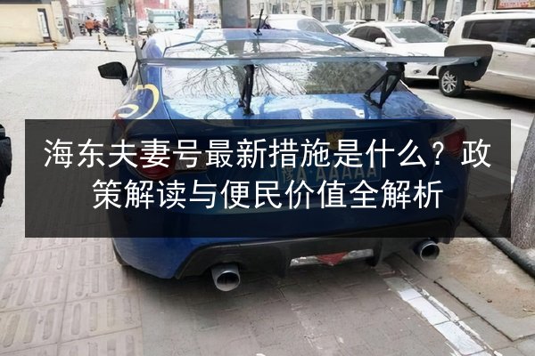 海东夫妻号最新措施是什么?政策解读与便民价值全解析 第2张 海东夫妻号最新措施是什么?政策解读与便民价值全解析 第2张