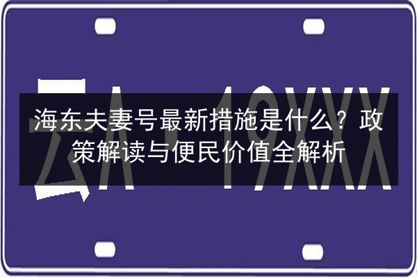 海东夫妻号最新措施是什么?政策解读与便民价值全解析 第3张 海东夫妻号最新措施是什么?政策解读与便民价值全解析 第3张