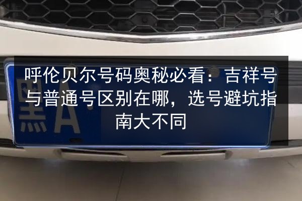 呼伦贝尔号码奥秘必看：吉祥号与普通号区别在哪，选号避坑指南大不同