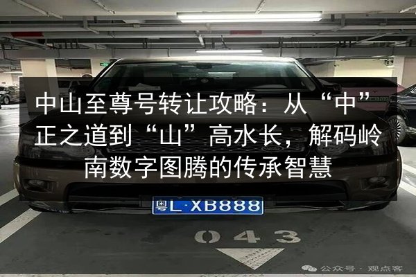 中山至尊号转让攻略：从“中”正之道到“山”高水长，解码岭南数字图腾的传承智慧 第2张
