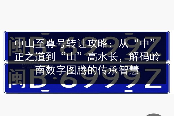 中山至尊号转让攻略：从“中”正之道到“山”高水长，解码岭南数字图腾的传承智慧 第3张