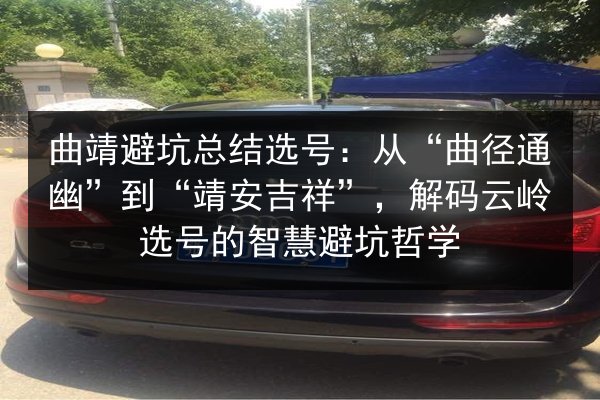 曲靖避坑总结选号：从“曲径通幽”到“靖安吉祥”，解码云岭选号的智慧避坑哲学 第2张