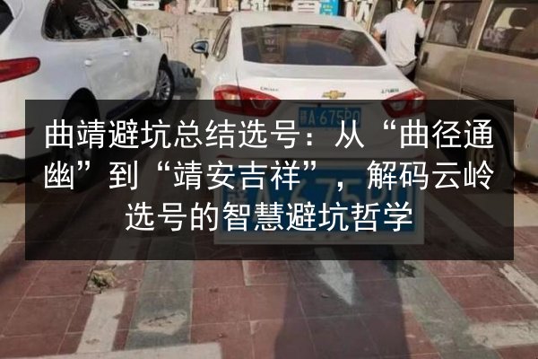 曲靖避坑总结选号：从“曲径通幽”到“靖安吉祥”，解码云岭选号的智慧避坑哲学 第3张
