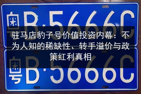 驻马店豹子号价值投资内幕：不为人知的稀缺性、转手溢价与政策红利真相