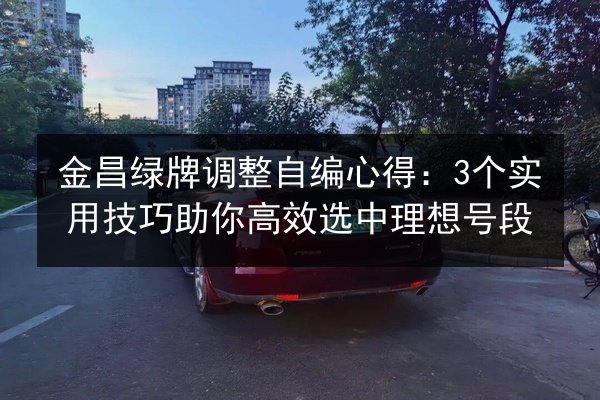 金昌绿牌调整自编心得：3个实用技巧助你高效选中理想号段