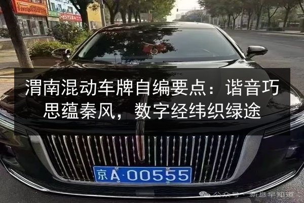 渭南混动车牌自编要点:谐音巧思蕴秦风,数字经纬织绿途 第3张 渭南混动车牌自编要点:谐音巧思蕴秦风,数字经纬织绿途 第3张