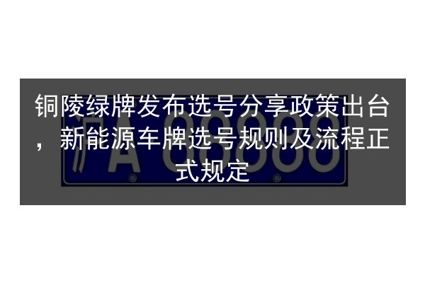 铜陵绿牌发布选号分享政策出台，新能源车牌选号规则及流程正式规定 第2张