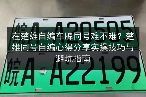 在楚雄自编车牌同号难不难？楚雄同号自编心得分享实操技巧与避坑指南