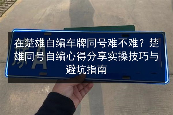 在楚雄自编车牌同号难不难?楚雄同号自编心得分享实操技巧与避坑指南 第2张 在楚雄自编车牌同号难不难?楚雄同号自编心得分享实操技巧与避坑指南 第2张