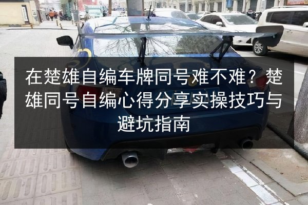 在楚雄自编车牌同号难不难?楚雄同号自编心得分享实操技巧与避坑指南 第3张 在楚雄自编车牌同号难不难?楚雄同号自编心得分享实操技巧与避坑指南 第3张