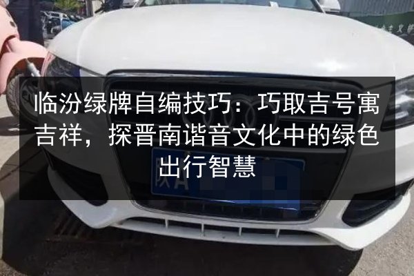 临汾绿牌自编技巧：巧取吉号寓吉祥，探晋南谐音文化中的绿色出行智慧 第2张
