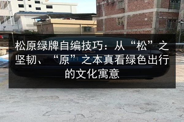 松原绿牌自编技巧：从“松”之坚韧、“原”之本真看绿色出行的文化寓意 第2张