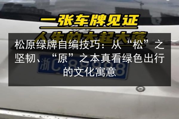 松原绿牌自编技巧：从“松”之坚韧、“原”之本真看绿色出行的文化寓意 第3张