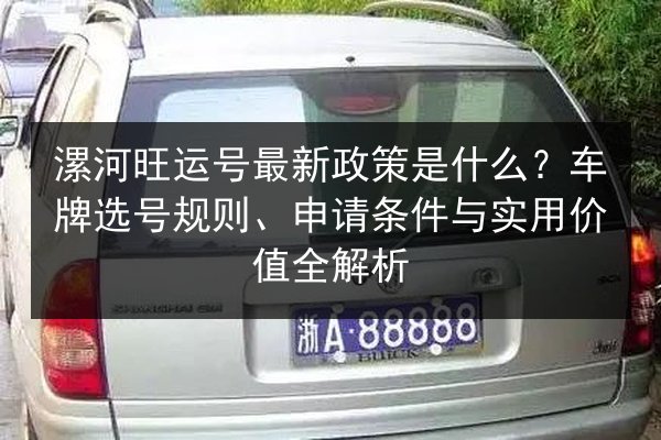 漯河旺运号最新政策是什么？车牌选号规则、申请条件与实用价值全解析