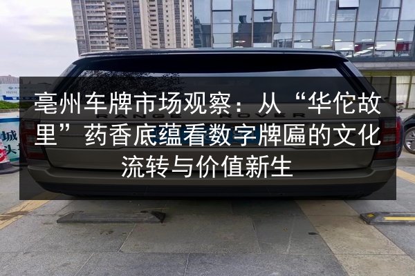 亳州车牌市场观察：从“华佗故里”药香底蕴看数字牌匾的文化流转与价值新生