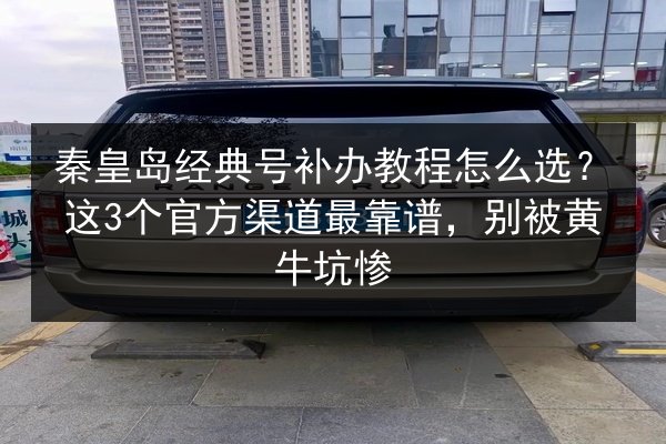 秦皇岛经典号补办教程怎么选？这3个官方渠道最靠谱，别被黄牛坑惨 第3张