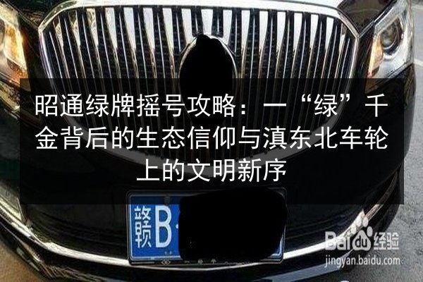 昭通绿牌摇号攻略：一“绿”千金背后的生态信仰与滇东北车轮上的文明新序