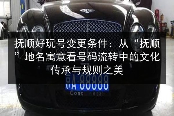 抚顺好玩号变更条件：从“抚顺”地名寓意看号码流转中的文化传承与规则之美