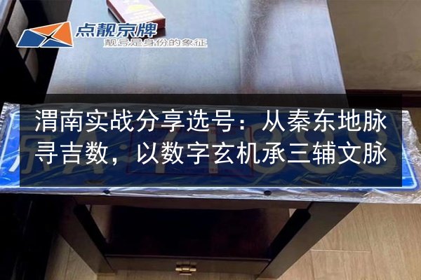 渭南实战分享选号：从秦东地脉寻吉数，以数字玄机承三辅文脉