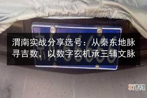 渭南实战分享选号：从秦东地脉寻吉数，以数字玄机承三辅文脉 第3张