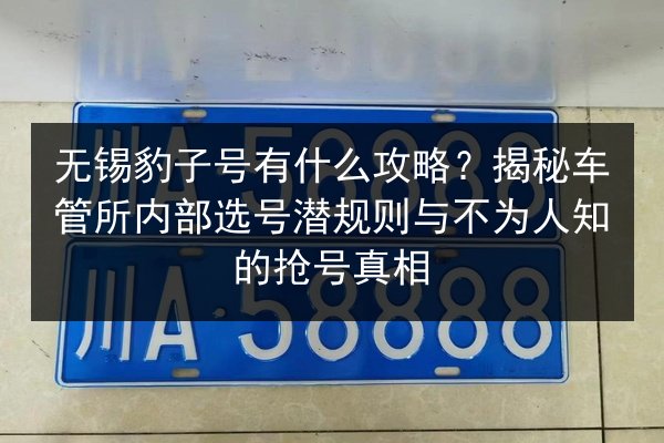 无锡豹子号有什么攻略？揭秘车管所内部选号潜规则与不为人知的抢号真相 第2张
