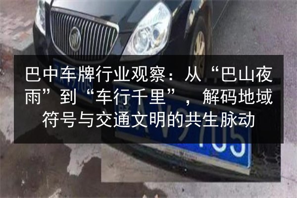 巴中车牌行业观察：从“巴山夜雨”到“车行千里”，解码地域符号与交通文明的共生脉动 第3张