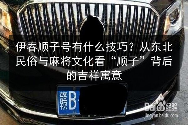 伊春顺子号有什么技巧？从东北民俗与麻将文化看“顺子”背后的吉祥寓意 第2张