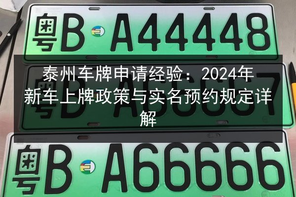 泰州车牌申请经验:2024年新车上牌政策与实名预约规定详解 第2张 泰州车牌申请经验:2024年新车上牌政策与实名预约规定详解 第2张