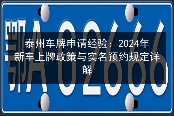 泰州车牌申请经验:2024年新车上牌政策与实名预约规定详解 第3张 泰州车牌申请经验:2024年新车上牌政策与实名预约规定详解 第3张