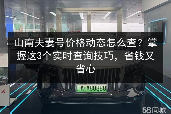 山南夫妻号价格动态怎么查？掌握这3个实时查询技巧，省钱又省心