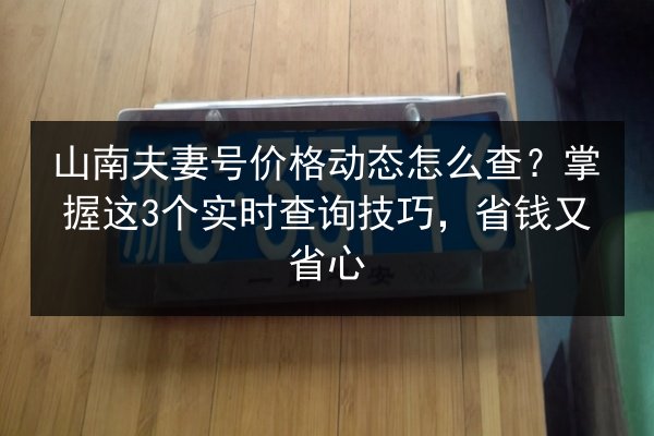 山南夫妻号价格动态怎么查?掌握这3个实时查询技巧,省钱又省心 第2张 山南夫妻号价格动态怎么查?掌握这3个实时查询技巧,省钱又省心 第2张