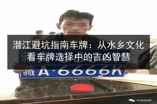 潜江避坑指南车牌:从水乡文化看车牌选择中的吉凶智慧 第2张 潜江避坑指南车牌:从水乡文化看车牌选择中的吉凶智慧 第2张