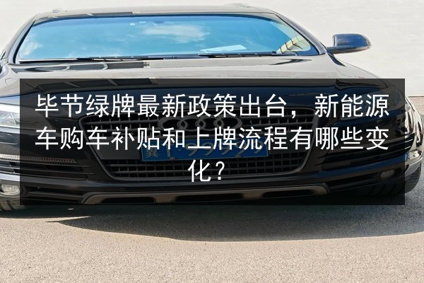 毕节绿牌最新政策出台,新能源车购车补贴和上牌流程有哪些变化? 第3张 毕节绿牌最新政策出台,新能源车购车补贴和上牌流程有哪些变化? 第3张