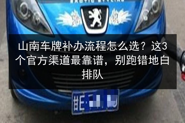 山南车牌补办流程怎么选？这3个官方渠道最靠谱，别跑错地白排队 第3张