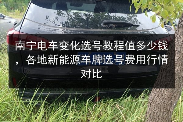 南宁电车变化选号教程值多少钱,各地新能源车牌选号费用行情对比 第2张 南宁电车变化选号教程值多少钱,各地新能源车牌选号费用行情对比 第2张